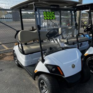 New 2024 Yamaha PTV (Gas) White