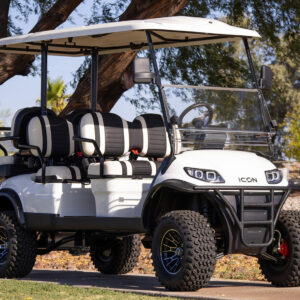 NEW 2025 ICON I-60L (PEARL WHITE)