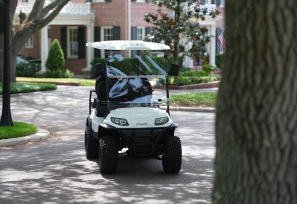 NEW 2025 Icon G-40L (Gas) 4 Passenger (White) - Image 4