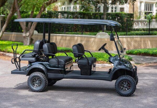 NEW 2025 Icon G-60L (Gas) 6 Passenger (Indigo) - Image 6