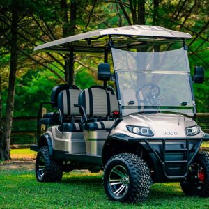 NEW 2025 ICON i60L (CHAMPAIGN GOLD)