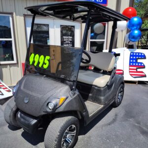 USED 2020 YAMAHA PTV (ELECTRIC)