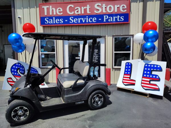 USED 2020 YAMAHA PTV (ELECTRIC) - Image 3