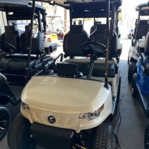 NEW EPIC E-20 LITHIUM GOLF CART (WHITE MET.)