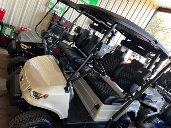 NEW EPIC E-20 LITHIUM GOLF CART (WHITE MET.) - Image 2