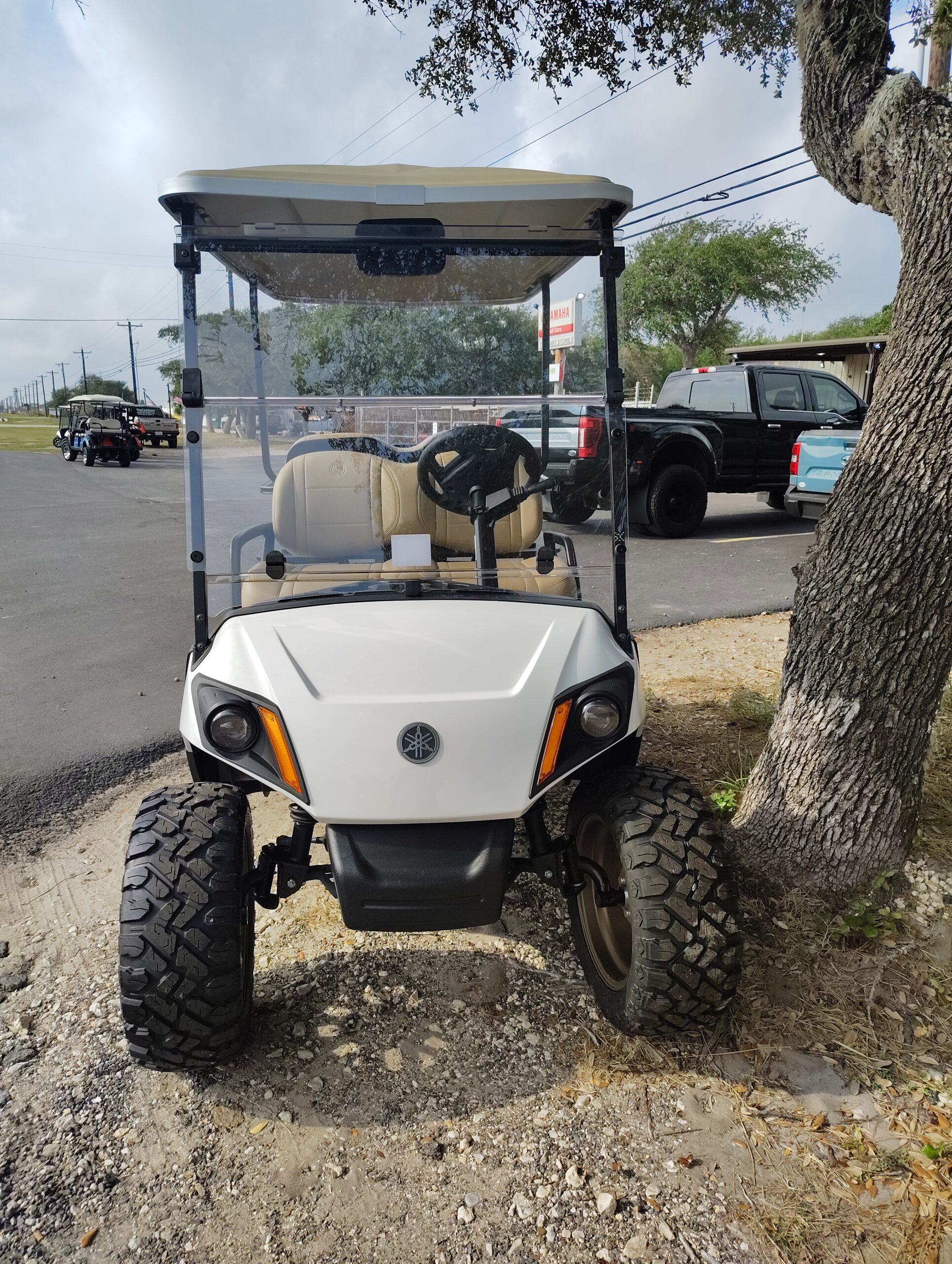 New 2026 Yamaha PTV (Gas) (WHITE) - Image 6